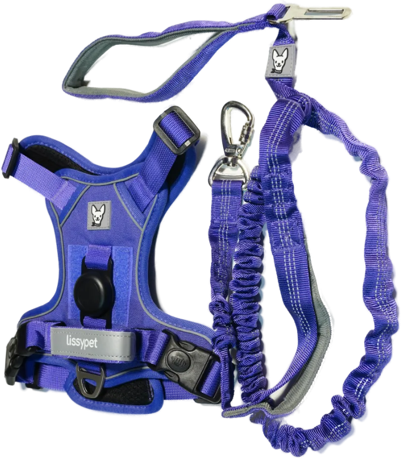 Arnés para perro Arnés Pro de Lissypet en color morado con correa elástica y cinturón de seguridad